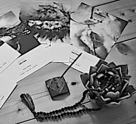 Creativity as contemplation