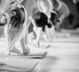Yogea  Art Flow Yoga