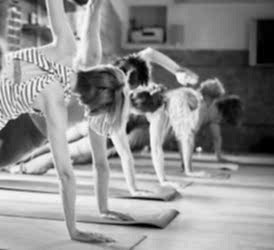 Fluid Movement  Yoga Flow