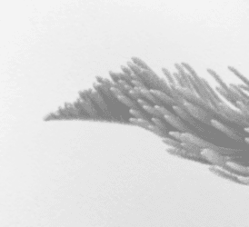 THE SPACE  IN BETWEEN