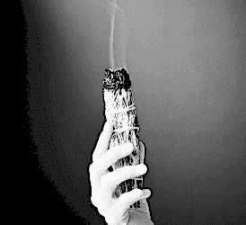 The Mind  as a sense